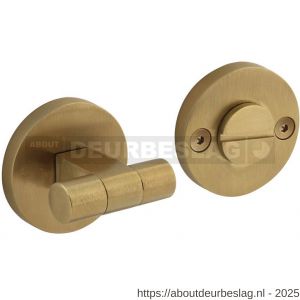 Intersteel 3175 WC-sluiting éénzijdig verdekt diameter 55x8 mm met stift 8x8mm knop op verdekte rozet PVD messing mat - R26011389 - afbeelding 1