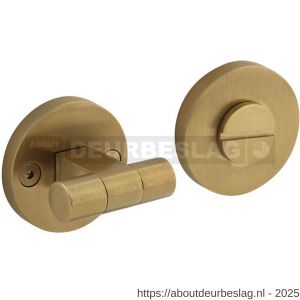 Intersteel 3175 WC-sluiting éénzijdig verdekt diameter 55x8 mm met stift 8x8mm knop op schroefgat rozet PVD messing mat - R26011390 - afbeelding 1