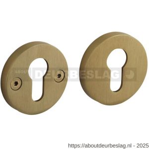 Intersteel 3175 cilinderrozetten éénzijdig verdekt diameter 55x8 mm met nokken diameter 8 mm PVD messing mat - R26011351 - afbeelding 1
