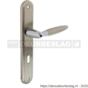 Intersteel 1682 deurkruk Elen op schild ovaal 242x43 mm sleutelgat 72 mm chroom-nikkel mat - R26004841 - afbeelding 1