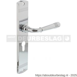 Intersteel Living 1705 deurkruk Helena op schild afgerond 235x45 mm profielcilindergat 55 mm chroom - R26009082 - afbeelding 1