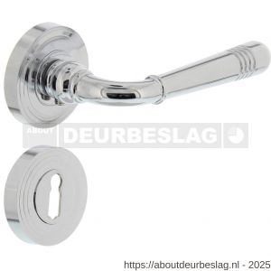 Intersteel 1725 deurkruk Helena op rozet verdekt met rillen diameter 55x10 mm met nokken en sleutelrozetten chroom - R26001772 - afbeelding 1