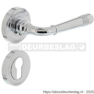 Intersteel 1725 deurkruk Helena op rozet verdekt met rillen diameter 55x10 mm met nokken en cilinderrozetten chroom - R26001773 - afbeelding 1