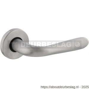 Intersteel Living 0195 deurkruk Jupiter op rozet verdekt diameter 49x7 mm chroom mat - R26000241 - afbeelding 1