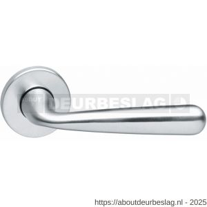 Intersteel Living 0197 deurkruk Yvonne op rozet verdekt diameter 49x7 mm chroom mat - R26000407 - afbeelding 1