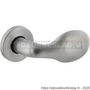 Intersteel 0263 deurkruk gatdeel rechts Druppel op rozet chroom mat - R26001135 - afbeelding 1