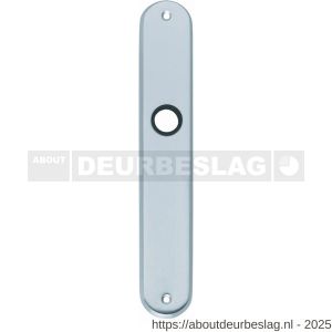 Intersteel 2530 langschild ovaal 236x37x9 mm blind chroom mat - R26007648 - afbeelding 1