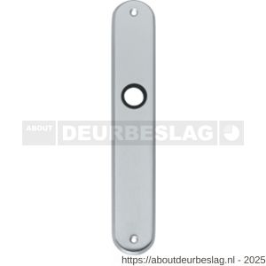 Intersteel 2530 langschild ovaal 236x37x9 mm profielcilindergat 72 mm chroom mat - R26003227 - afbeelding 1