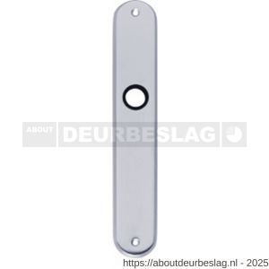 Intersteel 2530 langschild ovaal 236x37x9 mm blind WC78/8 chroom mat - R26005055 - afbeelding 1
