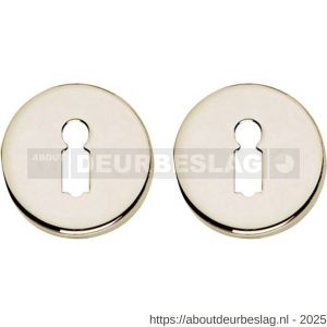 Intersteel Living 3186 sleutelrozetten verdekt diameter 49x7 mm nikkel - R26011127 - afbeelding 1