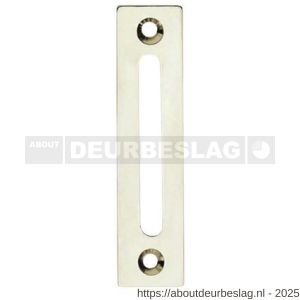 Intersteel 3700 sluitplaat vlak voor WC-overslag Vrij-Bezet nikkel - R26007538 - afbeelding 1