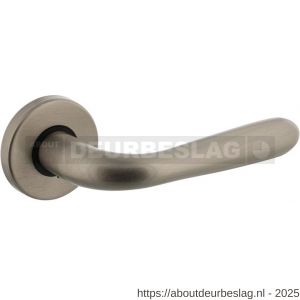 Intersteel Living 0195 deurkruk Jupiter op rozet verdekt diameter 49x7 mm nikkel mat - R26007326 - afbeelding 1