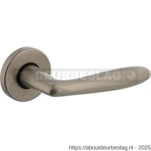 Intersteel Living 0200 deurkruk Phobos op rozet verdekt diameter 49x7 mm nikkel mat - R26007329 - afbeelding 1