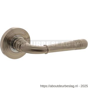 Intersteel 1725 deurkruk gatdeel rechts Helena op rozet verdekt met rillen diameter 55x10 mm met nokken chroom nikkel mat - R26008115 - afbeelding 1