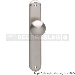 Intersteel 2126 knopschild ovaal 242x43x10 mm met vaste knop Paddenstoel en wisselstift M10-8x89 mm blind nikkel mat - R26005174 - afbeelding 1