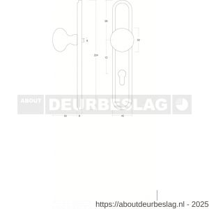 Intersteel 2126 knopschild ovaal 242x43x10 mm met vaste knop Paddenstoel en wisselstift M10-8x89 mm profielcilindergat 72 mm nikkel mat - R26005176 - afbeelding 2
