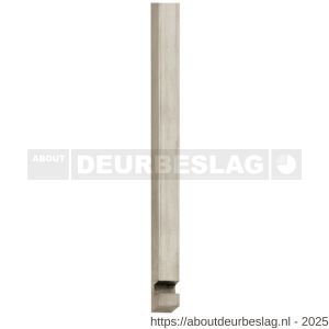 Intersteel 5620 stangenset voor pomp-espagnolet nikkel mat - R26000118 - afbeelding 1