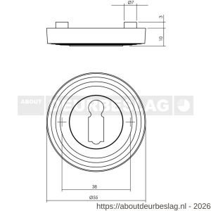 Intersteel Living 3178 sleutelrozetten verdekt met rillen diameter 55x10 mm en nokken oud grijs - R26011017 - afbeelding 2