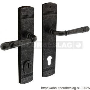 Intersteel 3777 achterdeurbeslag Helena 239x50 mm kruk-kruk profielcilindergat 92 mm met kerntrekbeveiliging oud grijs - R26010234 - afbeelding 1