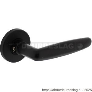 Intersteel Living 0225 deurkruk Sophie met rozet verdekt diameter 49x7 mm zwart - R26008184 - afbeelding 1