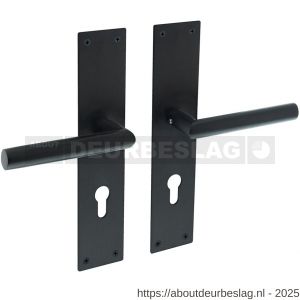 Intersteel Living 0583 deurkruk Jura met schild rechthoekig 250x55x2 mm profielcilindergat 72 mm structuur zwart - R26008211 - afbeelding 1