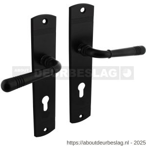 Intersteel 1705 deurkruk Helena op schild afgerond 235x45 mm profielcilindergat 72 mm zwart - R26010789 - afbeelding 1