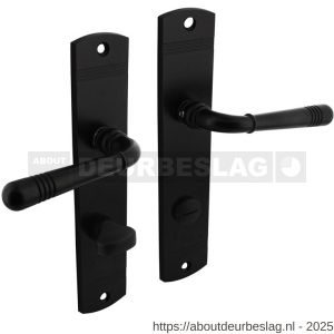 Intersteel 1705 deurkruk Helena op schild afgerond 235x45 mm WC 78/8 mm zwart - R26010791 - afbeelding 1