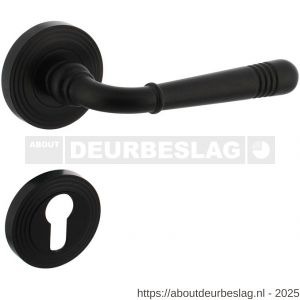 Intersteel 1725 deurkruk Helena op rozet verdekt met rillen diameter 55x10 mm met nokken en cilinderrozetten zwart - R26010795 - afbeelding 1