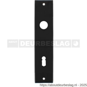 Intersteel 2568 kortschild rechthoekig 181x41x7 mm sleutelgat 72 mm zwart - R26006764 - afbeelding 1