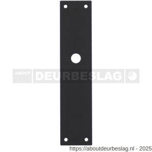 Intersteel 2688 schild renovatie rechthoekig 250x55x2 mm blind RVS mat zwart - R26008261 - afbeelding 1