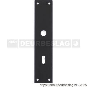 Intersteel 2688 schild renovatie rechthoekig 250x55x2 mm sleutelgat 72 mm RVS mat zwart - R26006782 - afbeelding 1