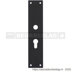 Intersteel 2688 schild renovatie rechthoekig 250x55x2 mm PC55 mm RVS mat zwart - R26007027 - afbeelding 1