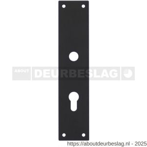 Intersteel 2688 schild renovatie rechthoekig 250x55x2 mm profielcilindergat 72 mm RVS-mat zwart - R26006783 - afbeelding 1