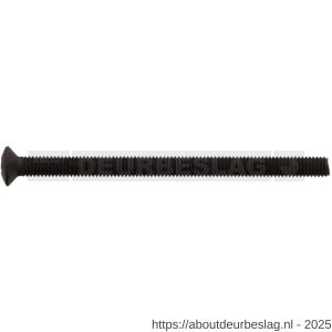 Intersteel 9901 bout M6x90 mm voor SKG3 aluminium beslag voor deurdikte 75 mm zwart - R26009226 - afbeelding 1