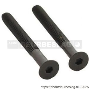 Intersteel 9904 set van 2 bouten zeskant M5x48 mm RVS PVD zwart - R26011314 - afbeelding 1