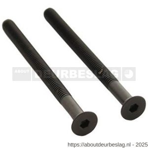 Intersteel 9904 set van 2 bouten zeskant M5x65 mm RVS PVD zwart - R26011315 - afbeelding 1