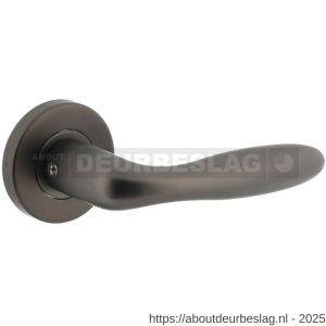 Intersteel Living 1281 deurkruk Jupiter op rozet verdekt diameter 53x8 mm met nokken antraciet grijs - R26010364 - afbeelding 1