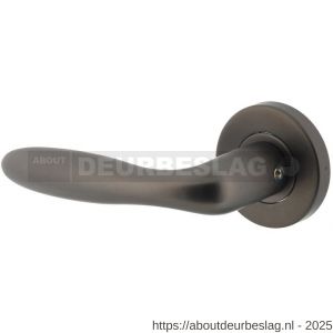 Intersteel 1281 deurkruk gatdeel links Jupiter op rozet verdekt diameter 53x8 mm met nokken antraciet grijs - R26010366 - afbeelding 1