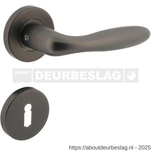 Intersteel 1281 deurkruk Jupiter op rozet verdekt diameter 53x8 mm met nokken en sleutelrozetten antraciet grijs - R26010367 - afbeelding 1