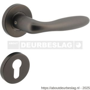 Intersteel 1281 deurkruk Jupiter op rozet verdekt diameter 53x8 mm met nokken en cilinderrozetten antraciet grijs - R26010368 - afbeelding 1