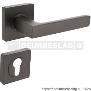 Intersteel 1713 deurkruk Hera op rozet verdekt 55x55x10 mm met nokken en cilinderrozetten antraciet grijs - R26010388 - afbeelding 1