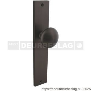 Intersteel Living 2128 knopschild rechthoekig 245x45x8 mm met vaste knop Paddenstoel en wisselstift blind antraciet grijs - R26010437 - afbeelding 1