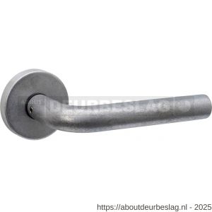 Intersteel 0570 deurkruk Luzern op rozet verdekt diameter 53x10 mm RVS getrommeld - R26010865 - afbeelding 1