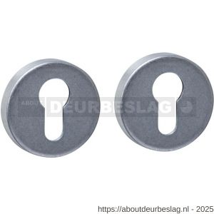 Intersteel 3410 cilinderrozetten verdekt diameter 53x9 mm RVS getrommeld - R26010860 - afbeelding 1