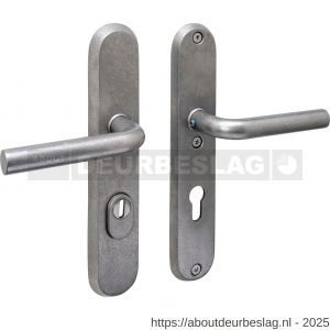 Intersteel 3787 SKG3 veiligheidsbeslag ovaal 250x50 mm kruk-kruk Luzern met veerconstructie profielcilindergat 72 mm met kerntrekbeveiliging RVS getrommeld - R26010857 - afbeelding 1