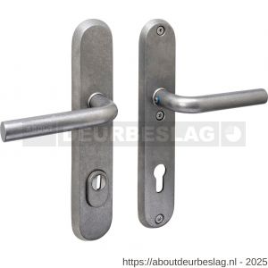 Intersteel 3787 SKG3 veiligheidsbeslag ovaal 250x50 mm kruk-kruk Luzern met veerconstructie profielcilindergat 92 mm met kerntrekbeveiliging RVS getrommeld - R26010856 - afbeelding 1