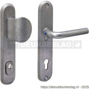Intersteel 3788 SKG3 veiligheidsbeslag ovaal 250x50 mm greep-kruk Luzern met veerconstructie profielcilindergat 92 mm met kerntrekbeveiliging RVS getrommeld - R26010854 - afbeelding 1