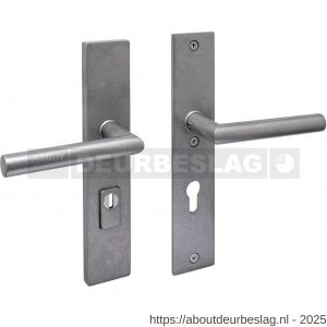 Intersteel 3964 SKG3 veiligheidsbeslag rechthoekig 250x50 mm kruk-kruk Jura met veerconstructie profielcilindergat 72 mm met kerntrekbeveiliging RVS getrommeld - R26010848 - afbeelding 1