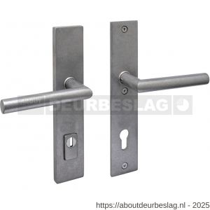 Intersteel 3964 SKG3 veiligheidsbeslag rechthoekig 250x50 mm kruk-kruk Jura met veerconstructie profielcilindergat 92 mm met kerntrekbeveiliging RVS getrommeld - R26010847 - afbeelding 1
