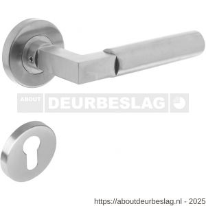 Intersteel 0379 deurkruk Baustil op rozet verdekt diameter 53x8 mm met nokken en cilinderrozetten RVS - R26005258 - afbeelding 1
